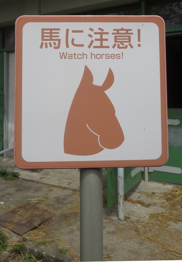 sign board regarding horse